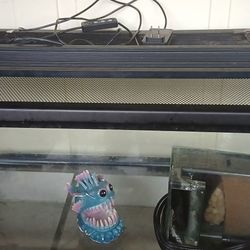 20 Gallon Tank