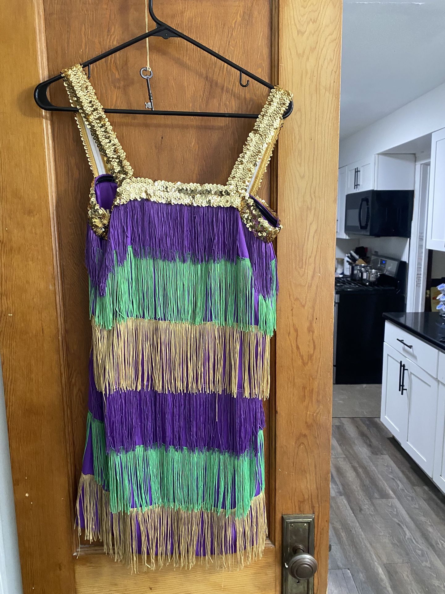 Vtg Flapper Dress Halloween Costume Multi-color Women Adult Standard