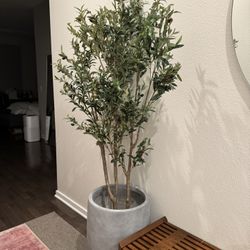 Set Of Two Large Indoor/Outdoor Planters + Faux Olive Tree $225