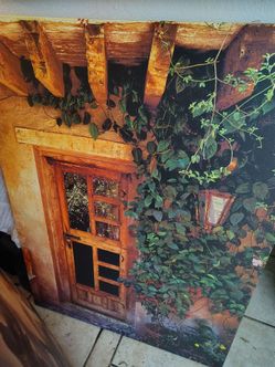 Rustic Door with Vines Canvas Wall Art