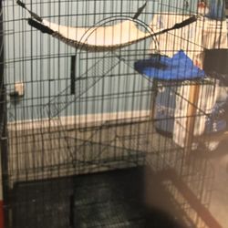 Cat Cage