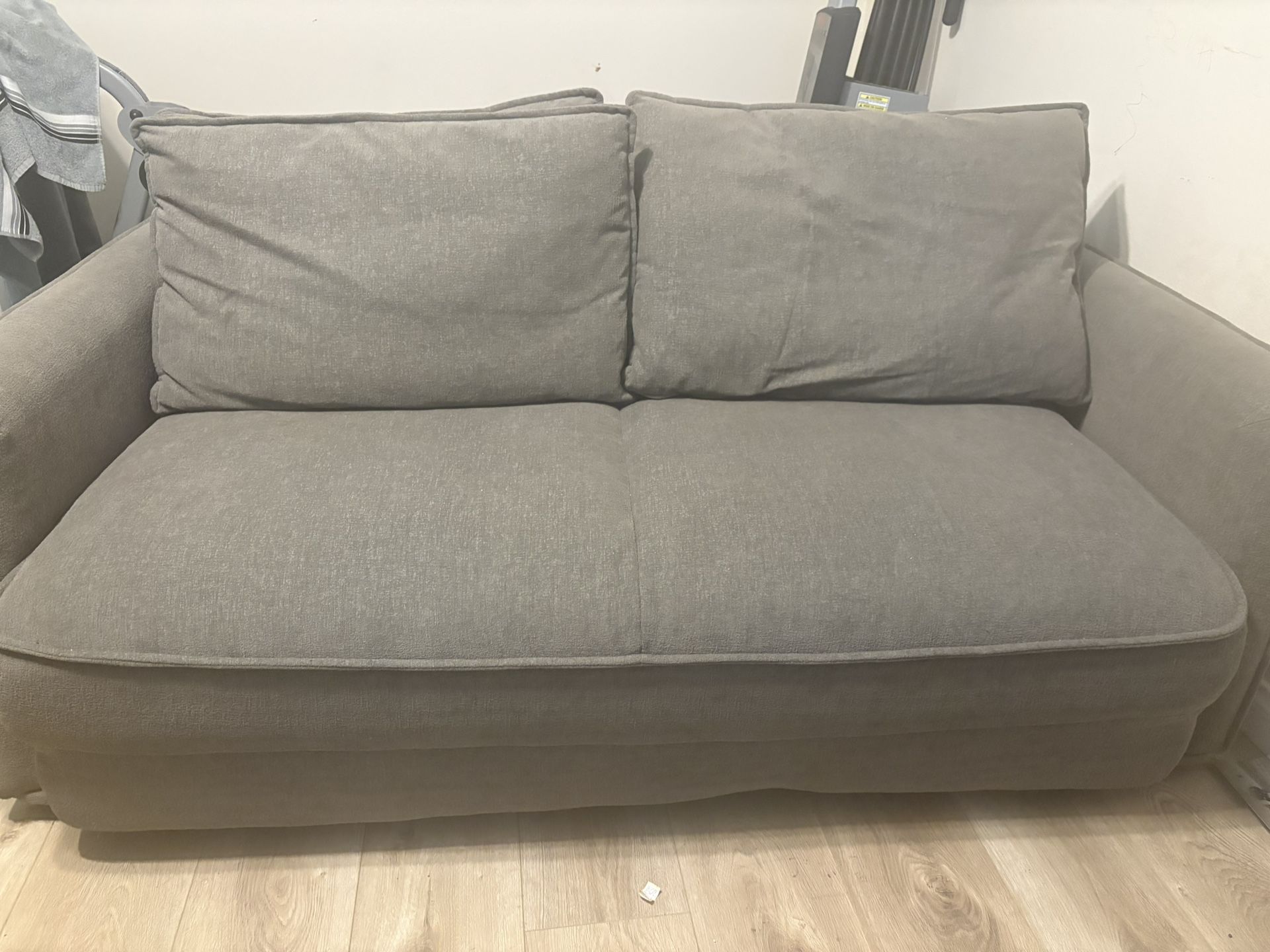 Sleeper Sofa Sage Green