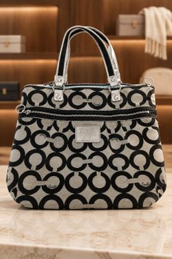 Coach Poppy Art Signature Tote Bag