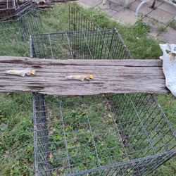 Very Cool Decorative Stuff To Hang On A Bar Wall Or Man Cave Etc! All Straight From The Florida Swamps! Make Me A Good Fair Offer! No Low Balling!