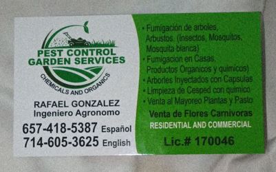 Plagas y enfermedades de jardines y casas