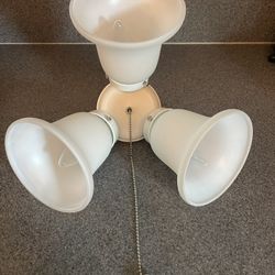 New Lamp 