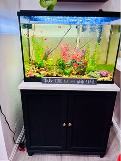 30 gallon tank with fish and stand