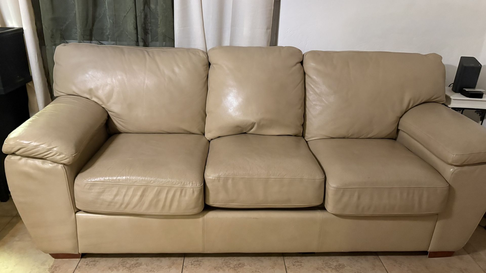 Couch/Sofa