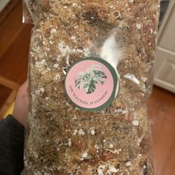 Rooting Mix For Any Node Moss & perilite Mix