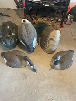 Shell goose decoys