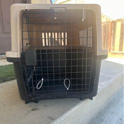 Medium Kennel For Dogs 