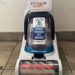 Power Through Pet Messes