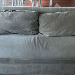 FREE - Clara futon For Sale - West Elm