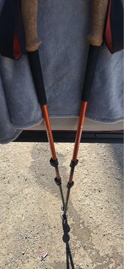 Black Diamond Trekking Poles Pair
