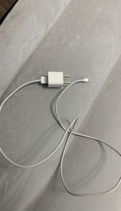Apple iPhone charger