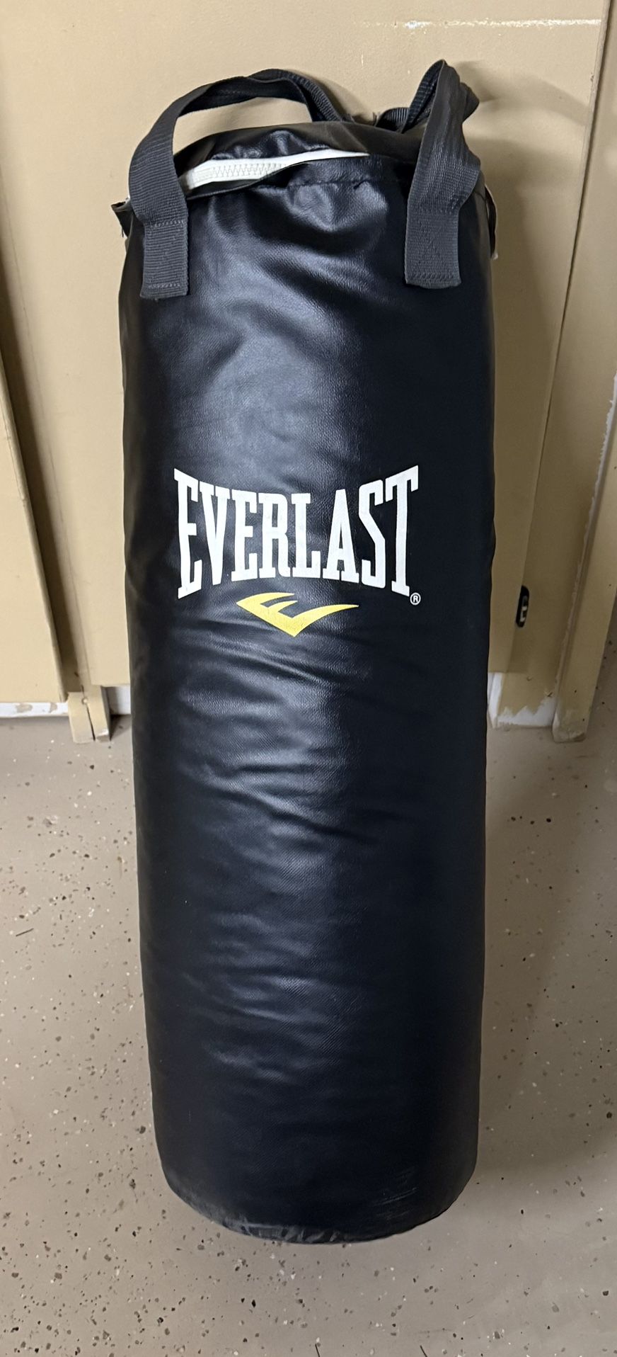 Everlast Punching Bag