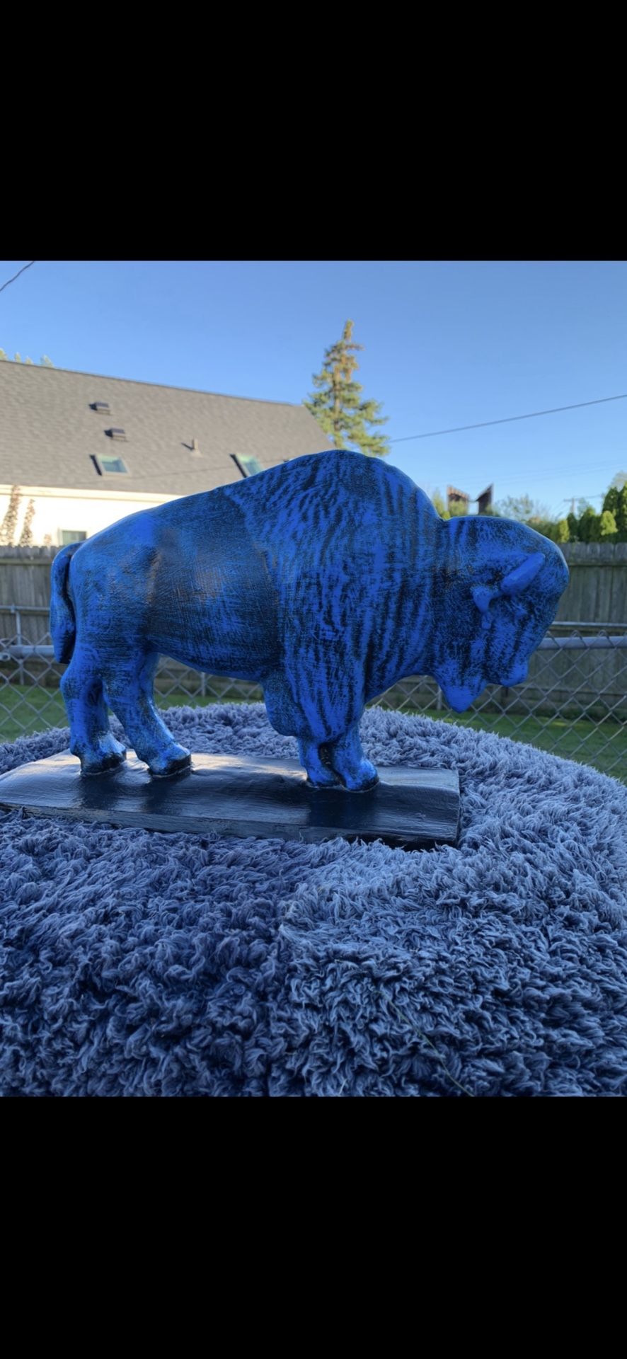 The Old Blue Buffalo