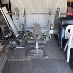 Weight Bench Body Champ Olympic Weight Bench
