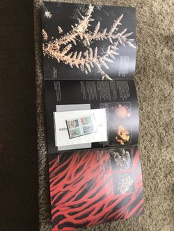 Us Collecting Stamps 