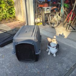 Large dog crate! dog not included :)