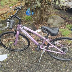 Womens Diamond Back Bike