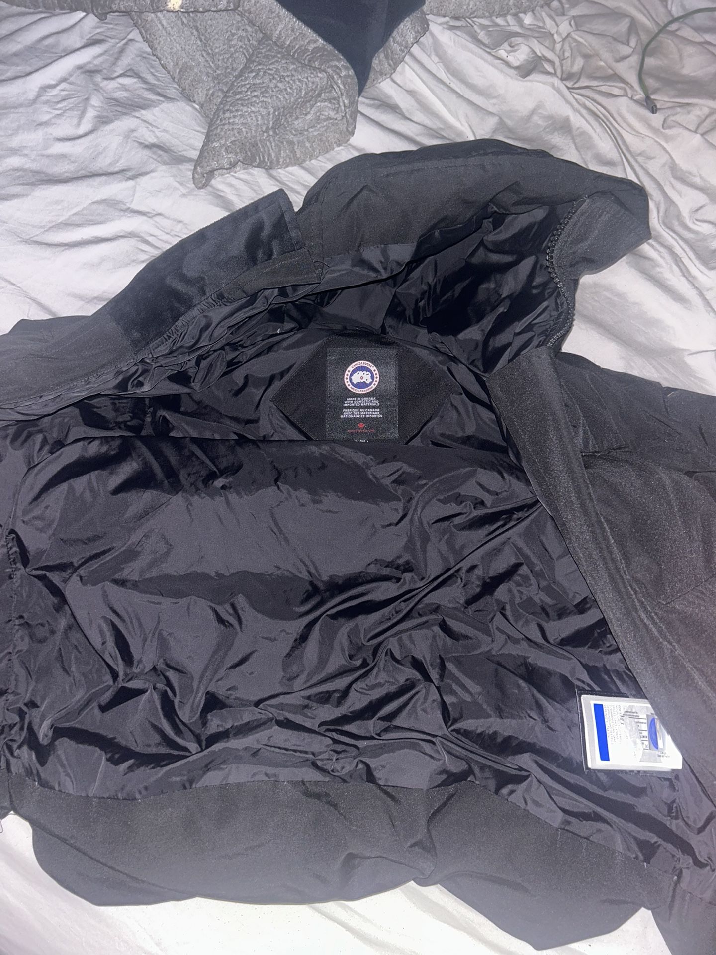 canada goose