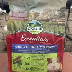 Young Guinea Pig Food 