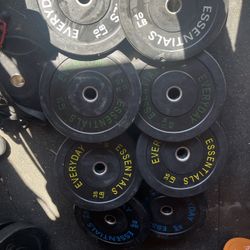 Olympic Weights Bumper Plates 