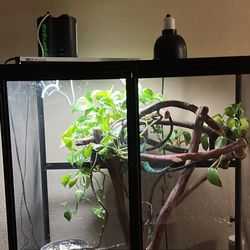 Panther Chameleon Cage 