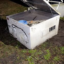 Dog Box
