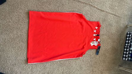 Disney jumper dress