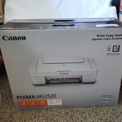 Canon PIXMA Mg2520 Printer