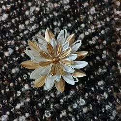 Gold And White Brooch