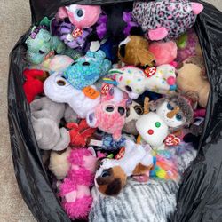 TY Beanie Boos 