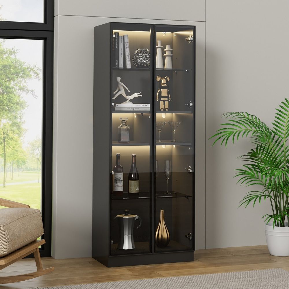 Display Storage Cabinet With Glass Doors Showcase Storage Shelves LED Light $100