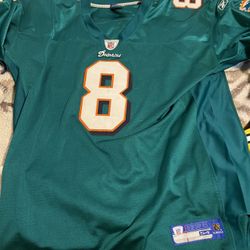 Miami Dolphins Jersey