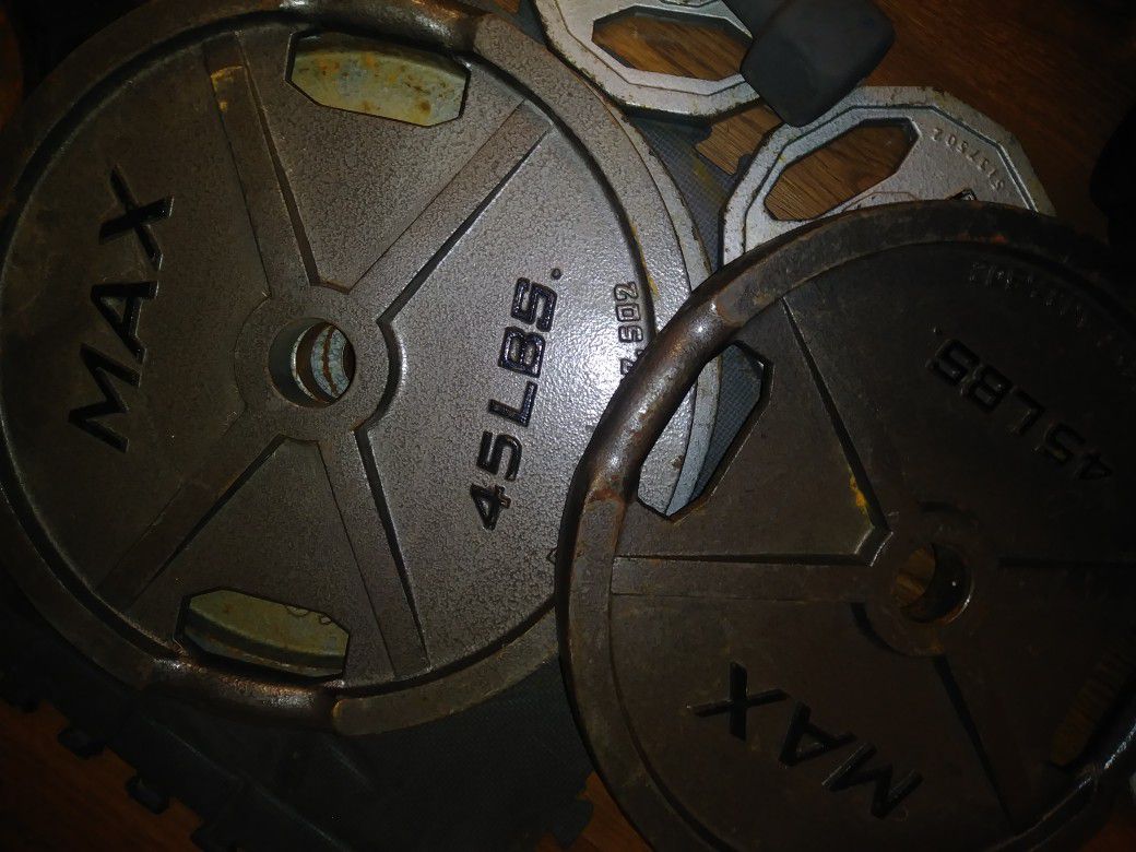 I have 2 of these 45 pound Olympic weights.......$30 each