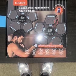 LOLBOX Boxing Training Machine 