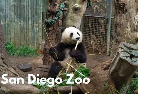 San Diego zoo Tickets 