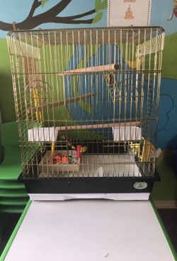 Bird cage