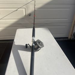 VINTAGE DAIWA SEALINE 600H And PENN SPECIAL SENATOR ROD