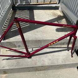 Trek 1985 Reynolds Frame And Campy Wheel Project 