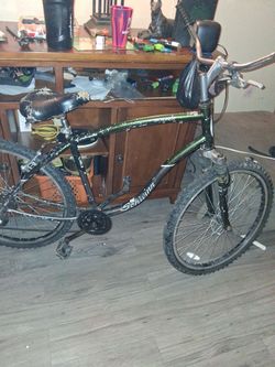 Schwinn bicycle