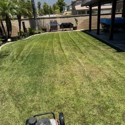 Cut Grass