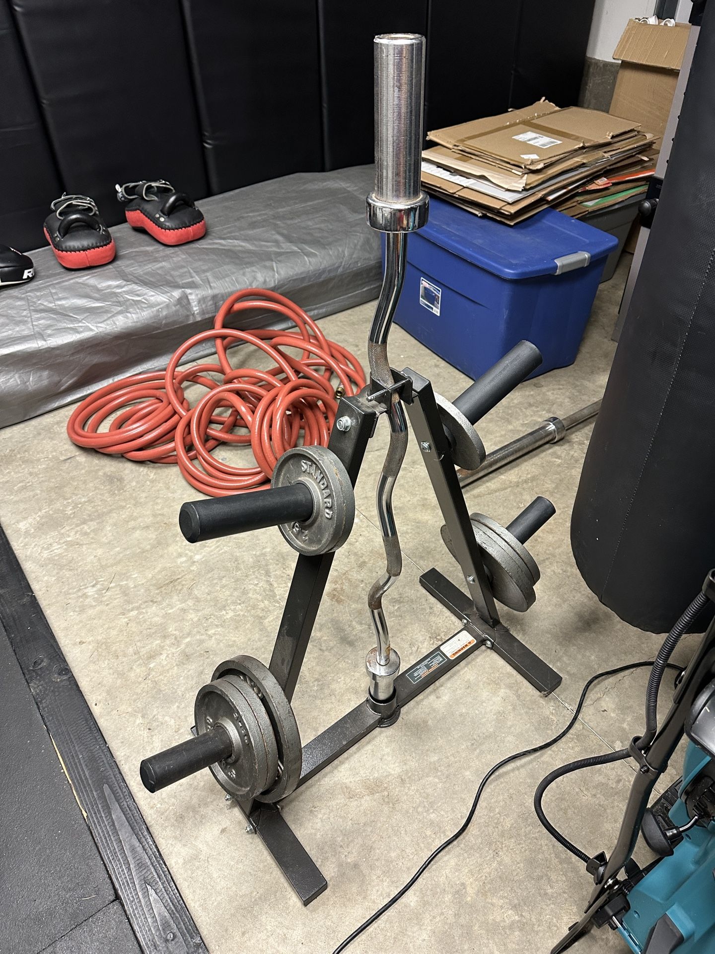 Pair of 35lb Olympic Plates