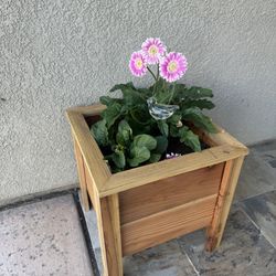 Planter box with legs, for kids or beginner planting box, good for flowers, vegetables, and fruits