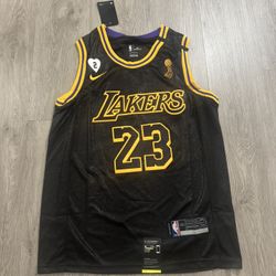 2020 LeBron James Mamba 