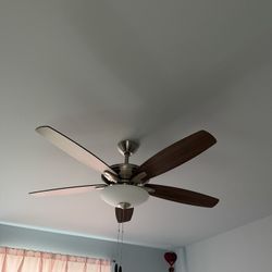 Ceiling Fan