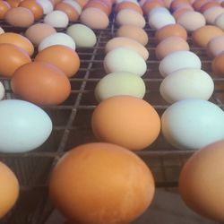 Farm Fresh Eggs