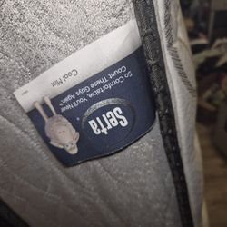 Free Twin Size Mattress, With Or W/0 Box Spring And Frame